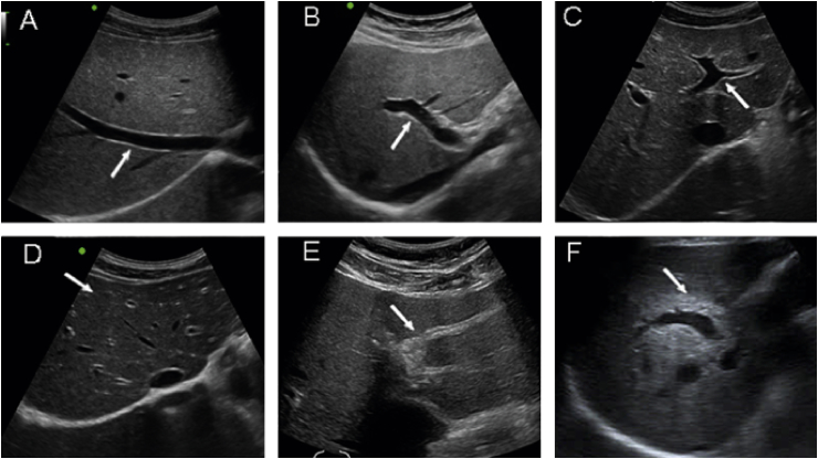 Figure 1