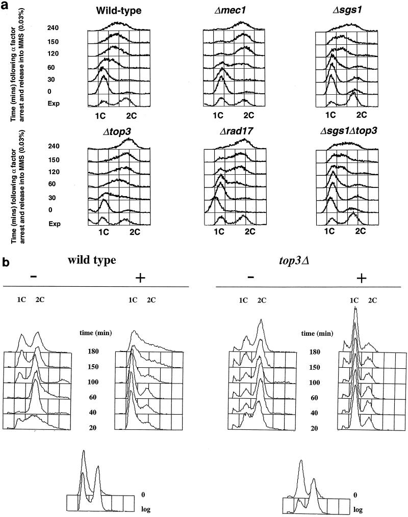 FIG. 3