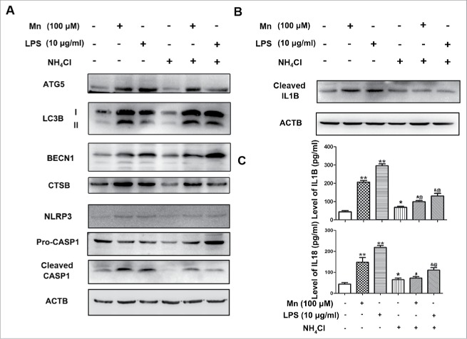 Figure 10.