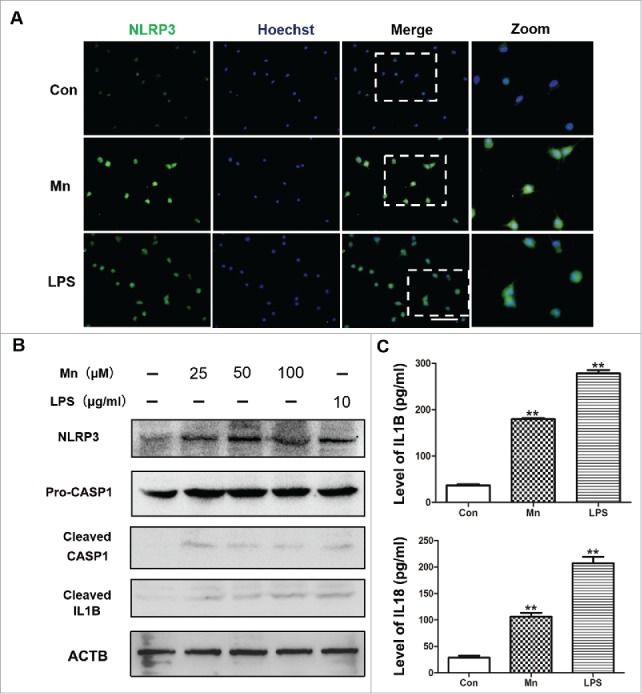 Figure 3.