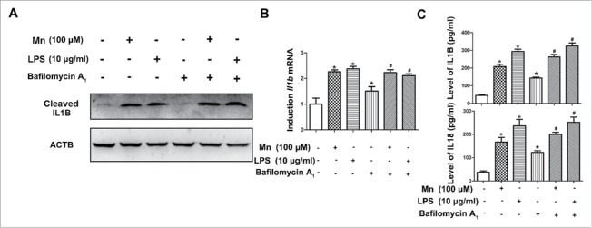 Figure 9.