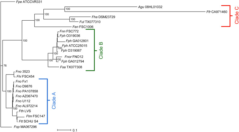 FIGURE 6