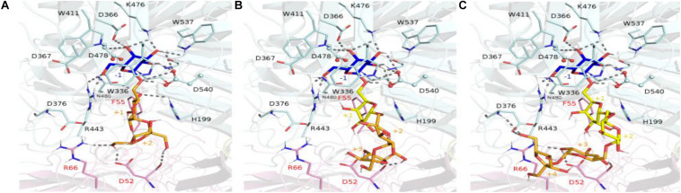 FIGURE 10