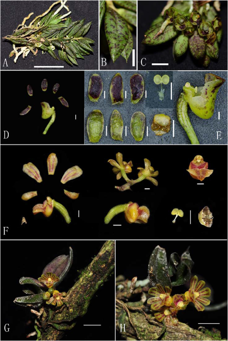 Fig. 3