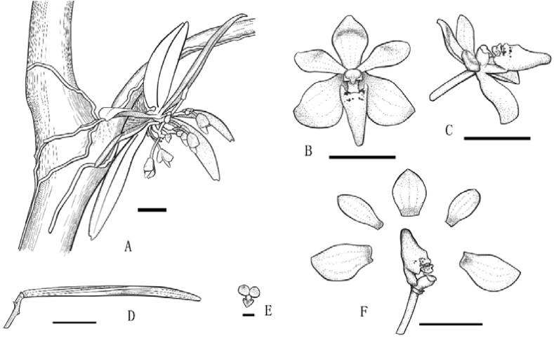 Fig. 1