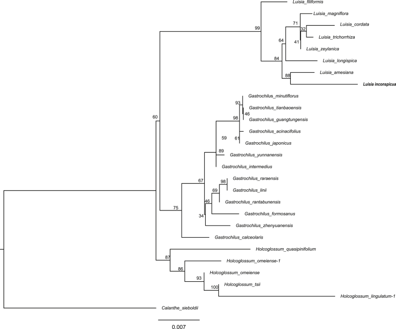 Fig. 7