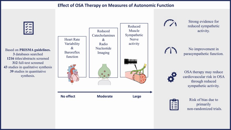 Graphical Abstract