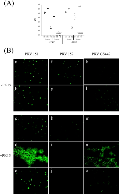 FIG. 4.