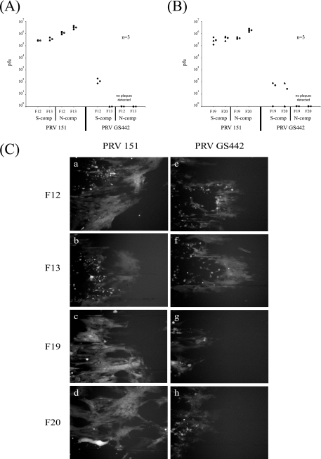 FIG. 7.