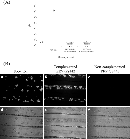 FIG. 6.