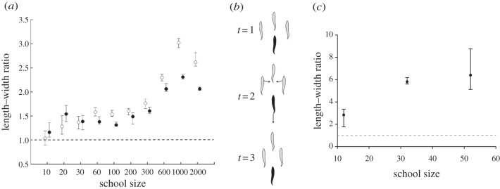 Figure 3.