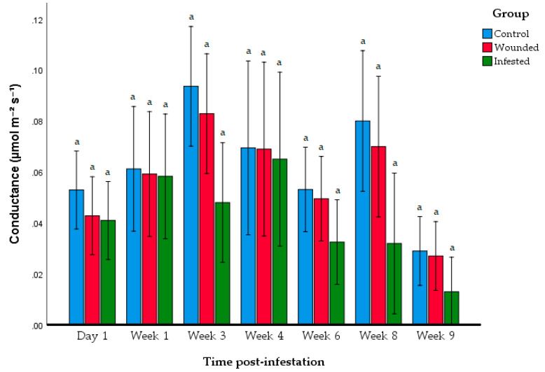 Figure 5