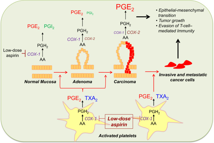 FIGURE 3