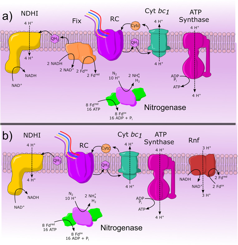 FIG 4