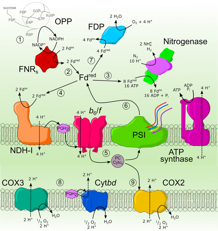 FIG 5