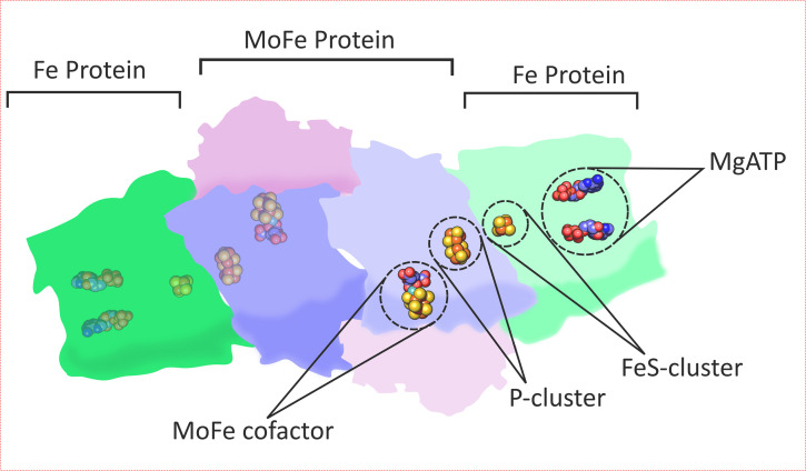 FIG 1