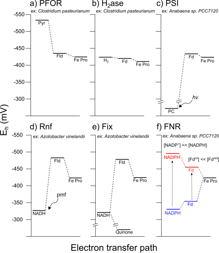 FIG 2