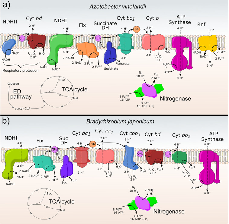 FIG 3