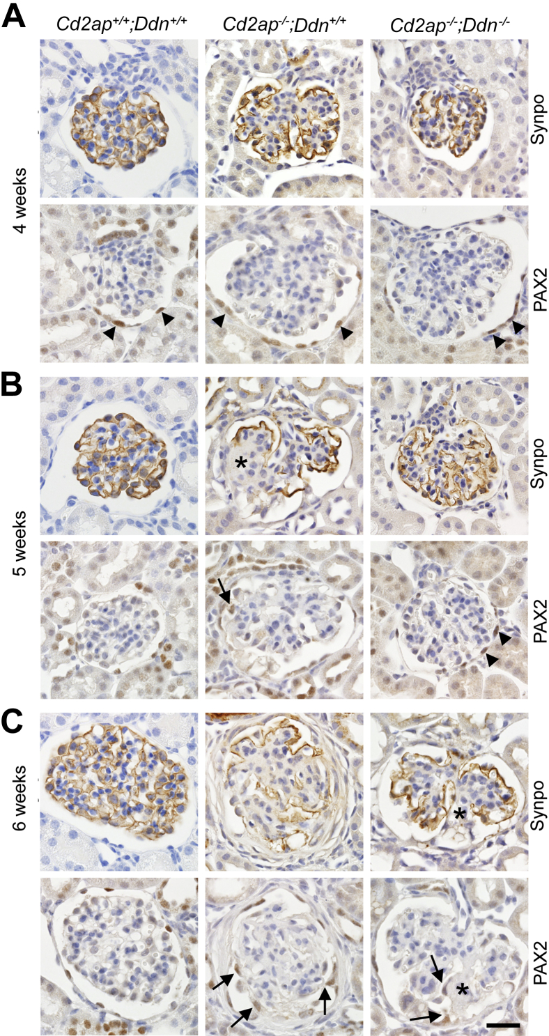 Figure 5