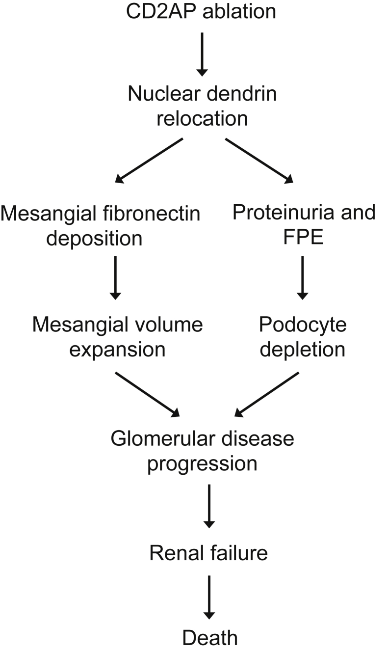 Figure 9