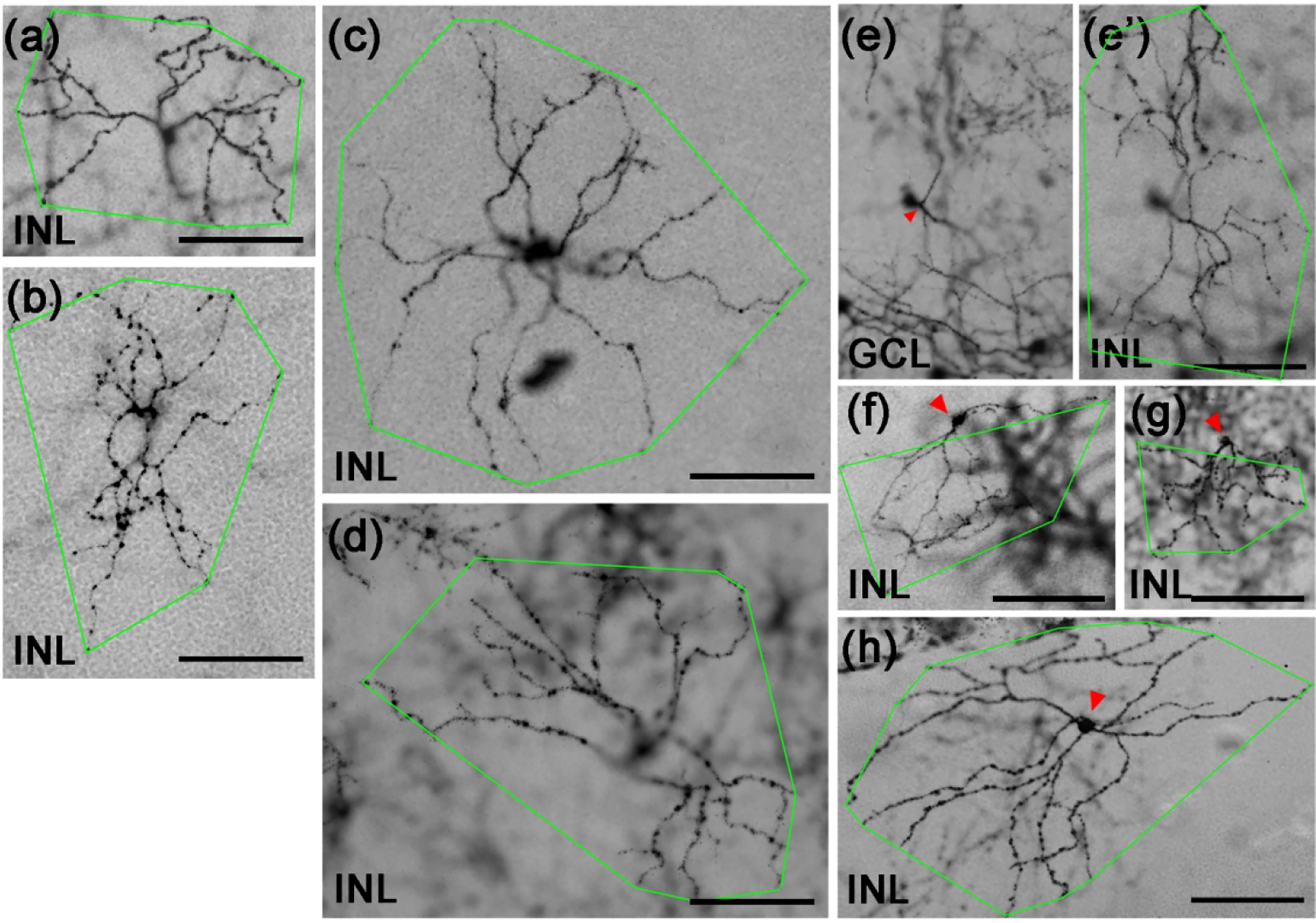 Figure 4.