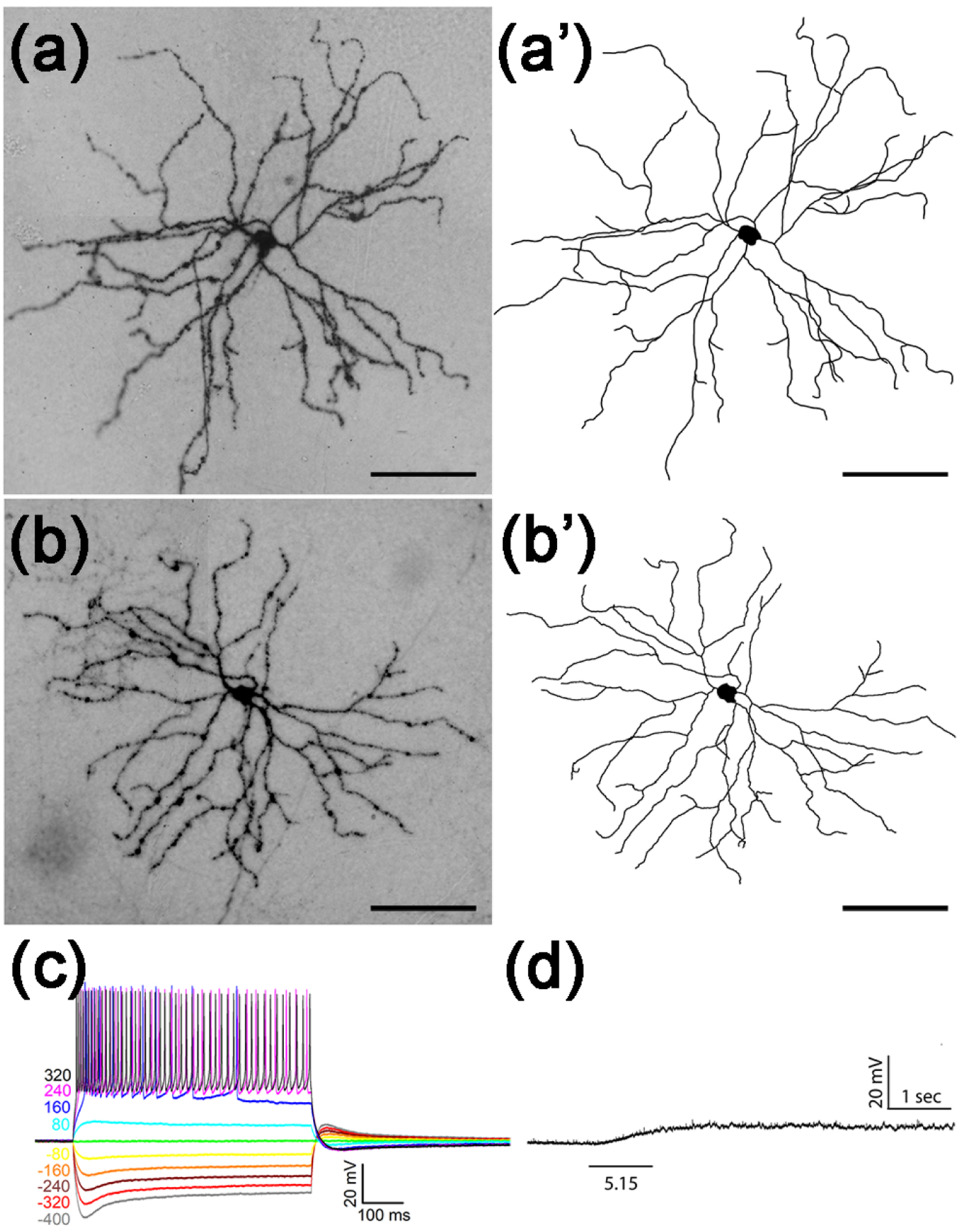 Figure 7.