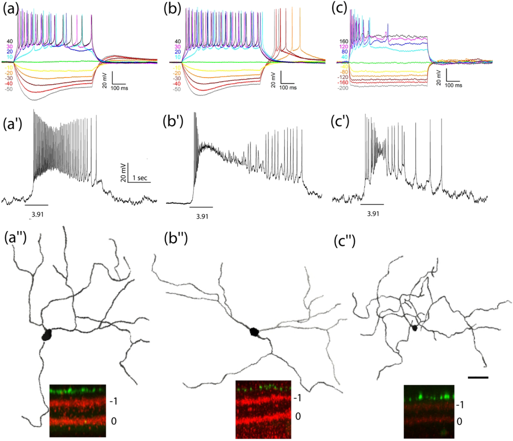 Figure 5.