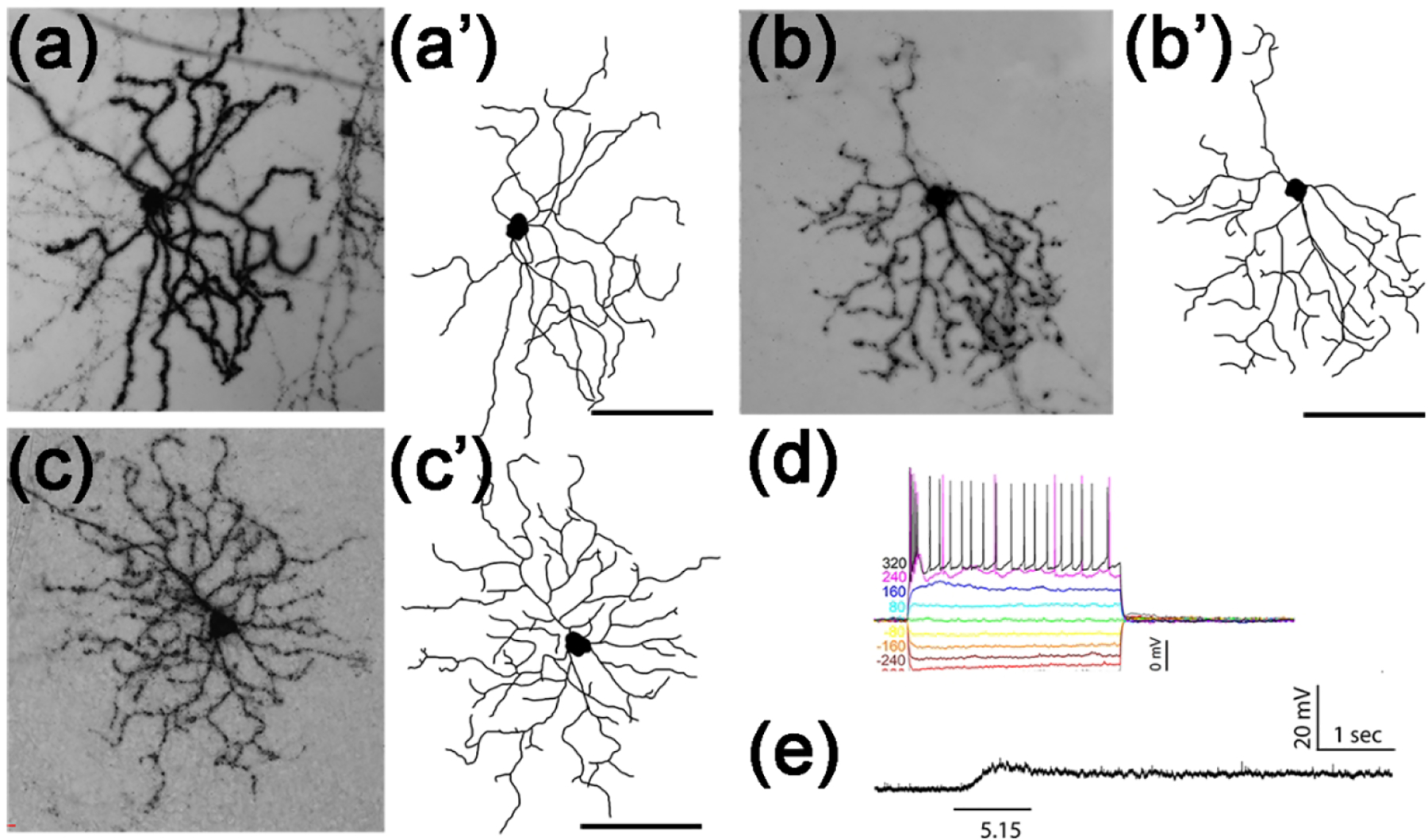 Figure 9.