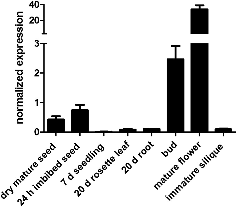 Figure 2.