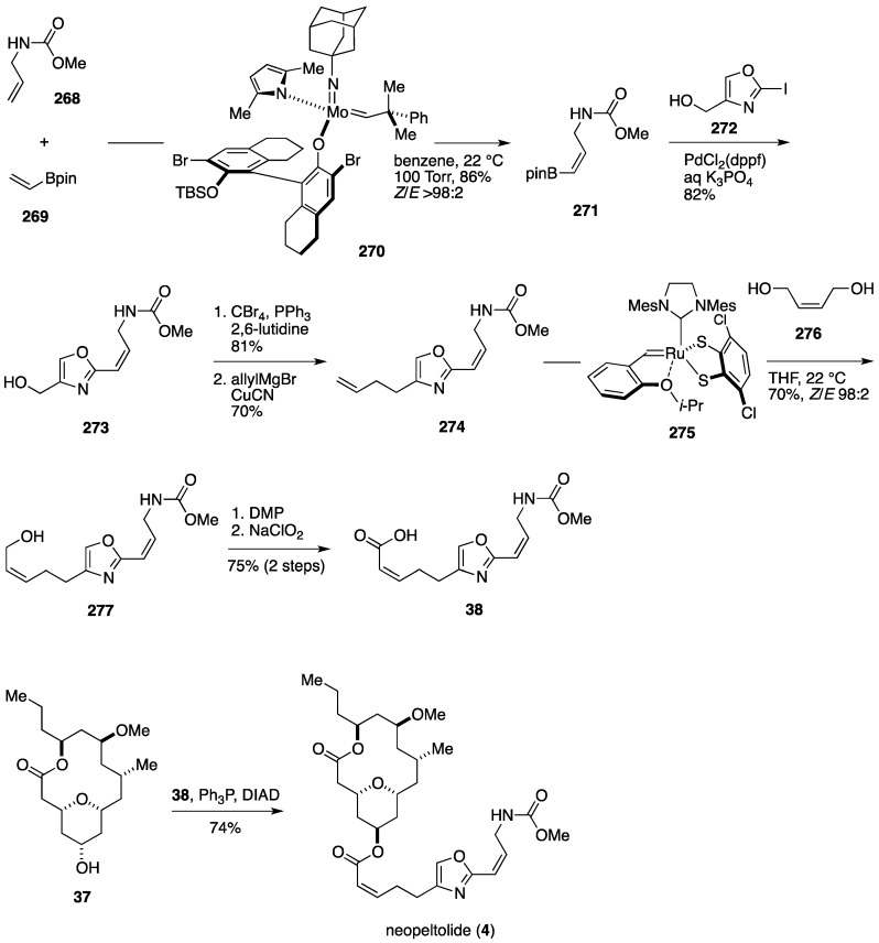 Figure 31