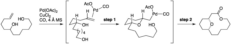 Figure 26