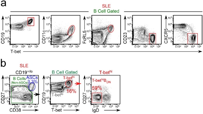 Figure 1—figure supplement 2.