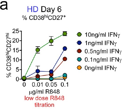 Figure 6—figure supplement 1.