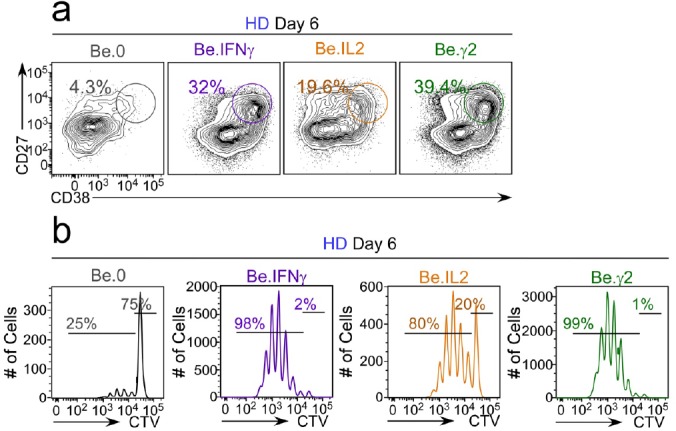 Figure 6—figure supplement 2.