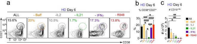 Figure 4—figure supplement 1.