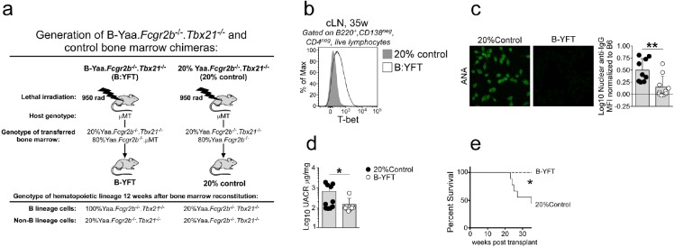 Figure 1—figure supplement 1.