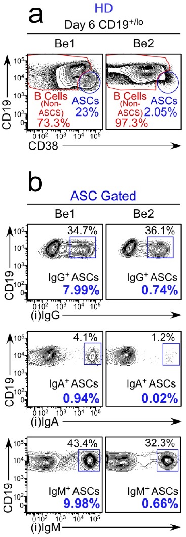 Figure 2—figure supplement 2.