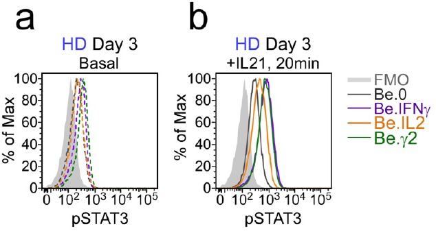 Figure 6—figure supplement 3.