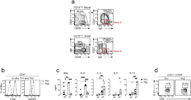 Figure 2—figure supplement 1.