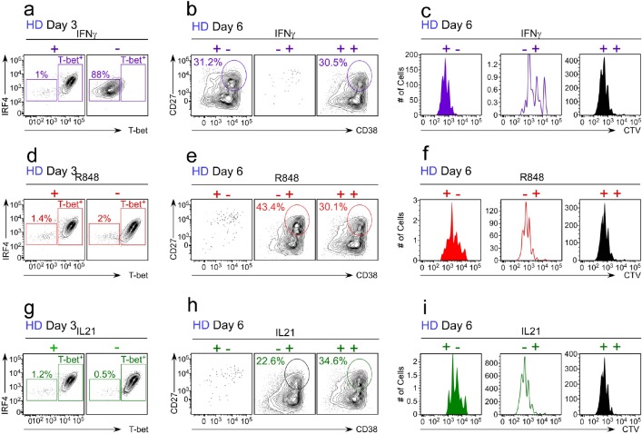 Figure 5—figure supplement 1.