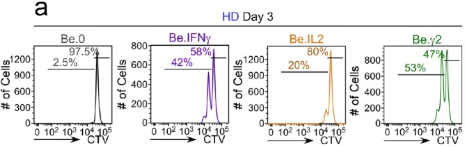 Figure 7—figure supplement 1.