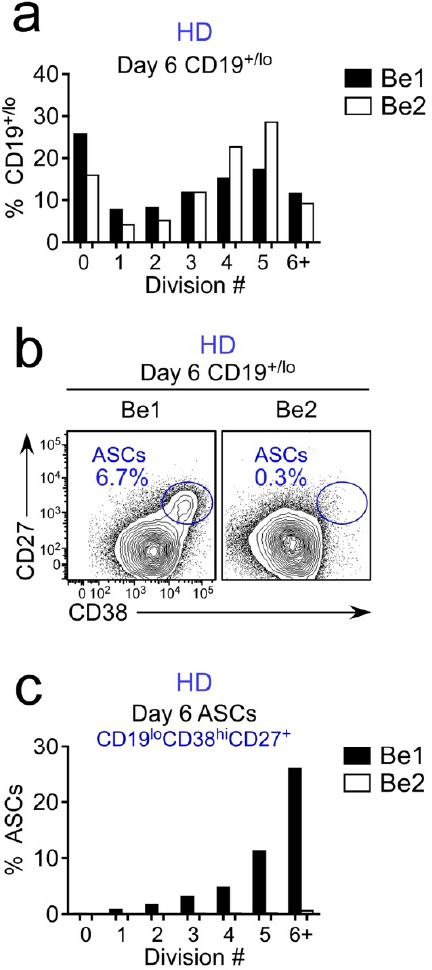 Figure 2—figure supplement 3.