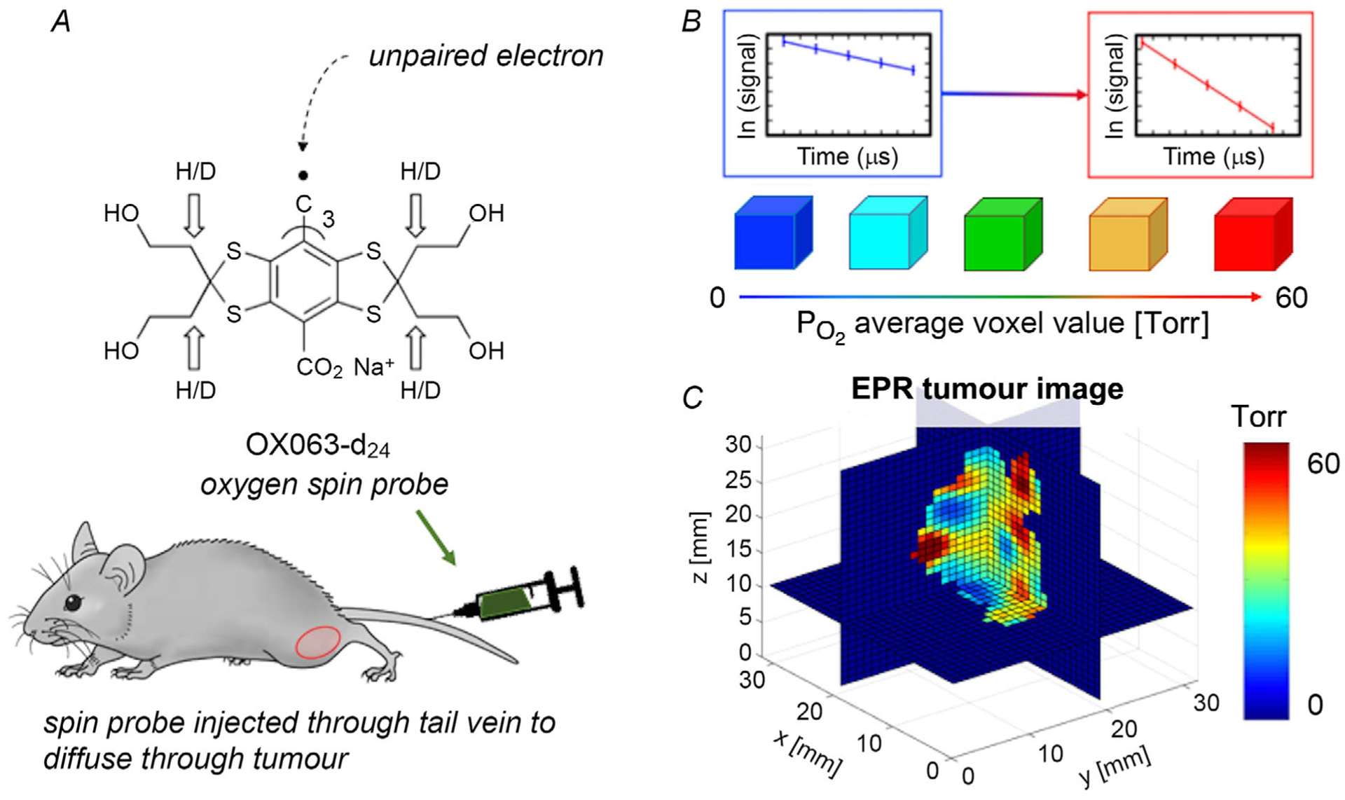 Figure 2.