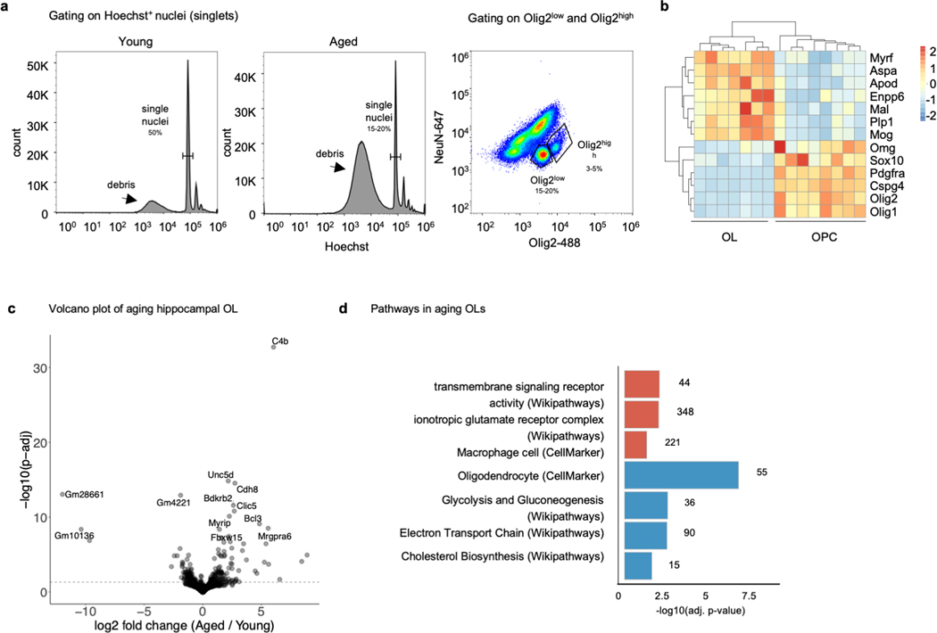 Extended data Fig. 7.