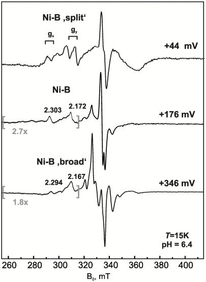 Fig. 5.