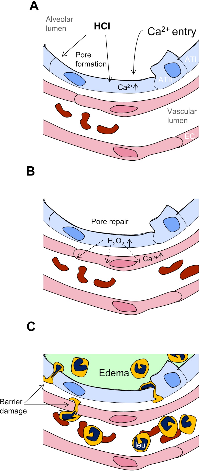 Fig. 8.