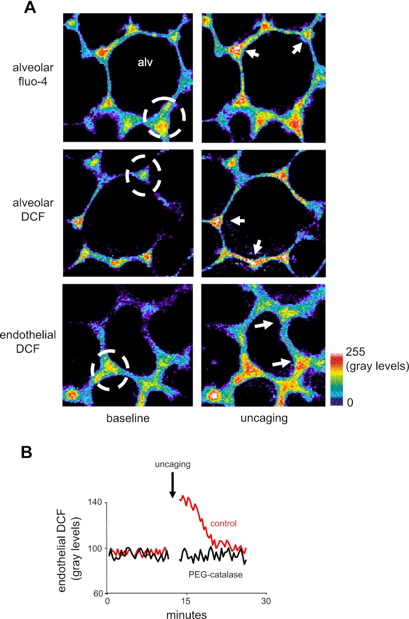 Fig. 4.