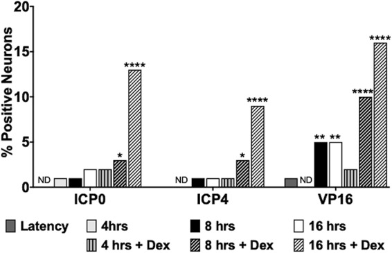 FIG 8