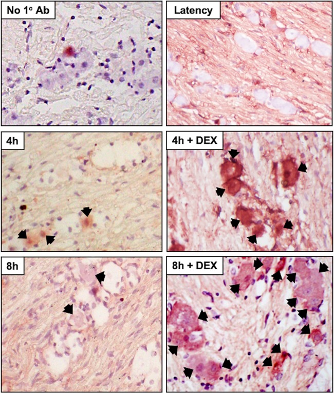 FIG 2