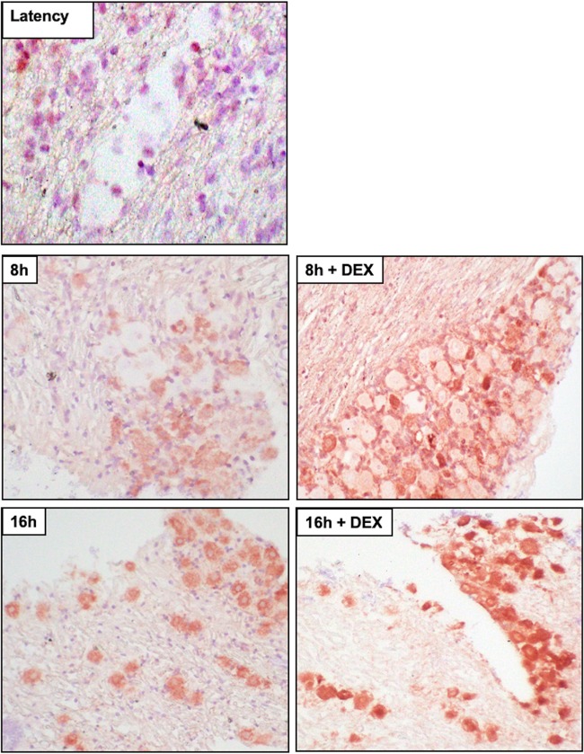 FIG 10